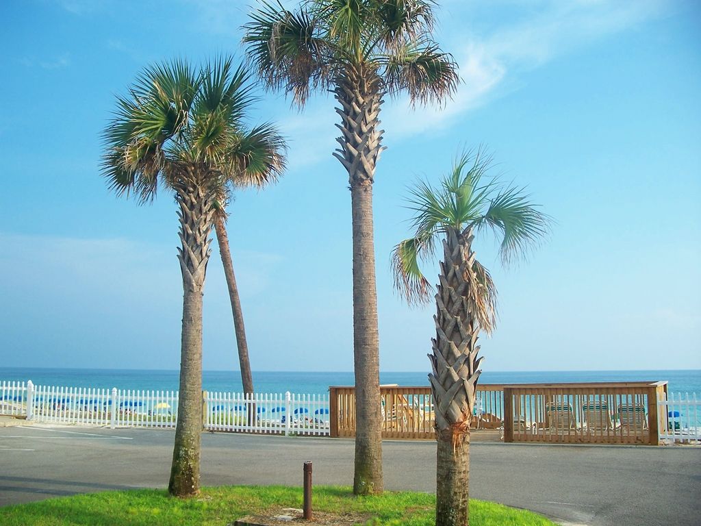 Gulf Winds East Apartment Miramar Beach Exterior photo